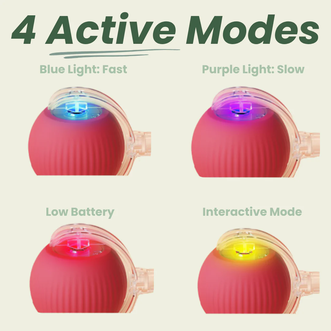 Magic Ball with Lights - Rechargeable, cat's favorite toy!