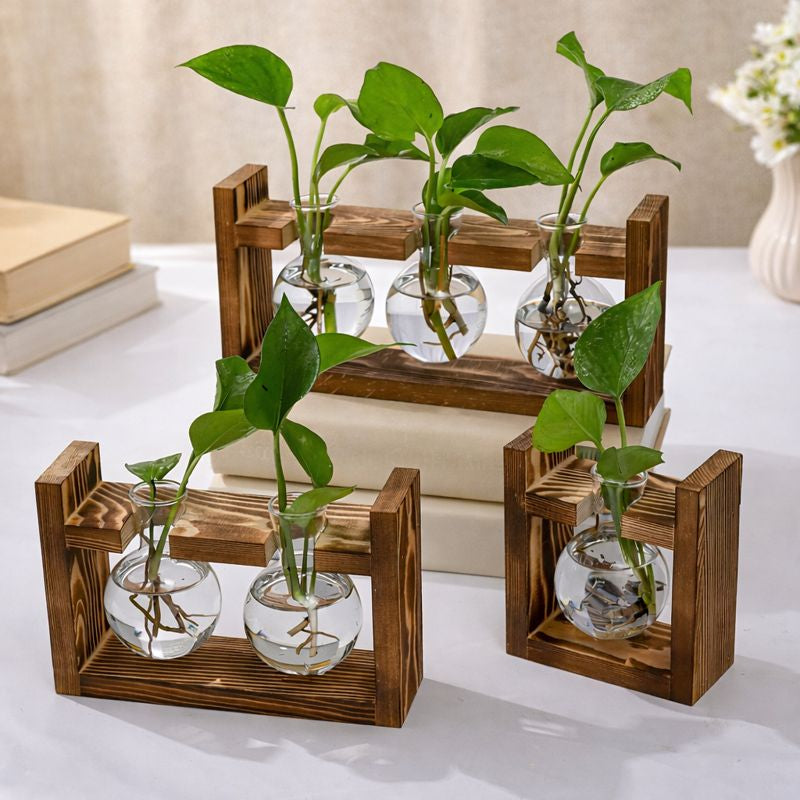 Wooden Hydroponic Planter with Glass Vases