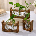 Wooden Hydroponic Planter with Glass Vases