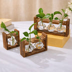 Wooden Hydroponic Planter with Glass Vases