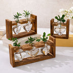 Wooden Hydroponic Planter with Glass Vases