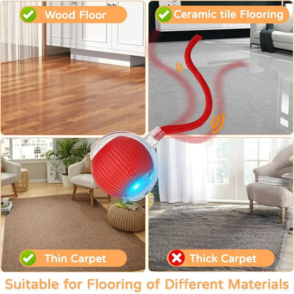 Magic Ball with Lights - Rechargeable, cat's favorite toy!