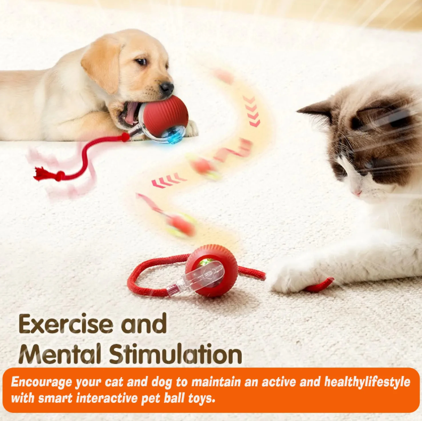 Magic Ball with Lights - Rechargeable, cat's favorite toy!